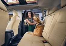 Los 5 SUVs Más Versátiles del 2025: Familia y Aventura al Mejor Precio