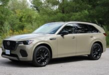 Los 5 SUVs con la mejor visibilidad 360 para maniobras perfectas